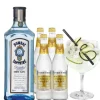 Cocktailpakket Bombay Gin tonic