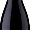 Errazuriz Aconcagua Costa Pinot Noir